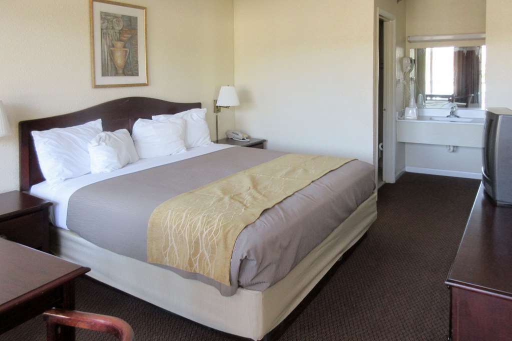 Quality Inn & Suites Pawleys Island Zimmer foto
